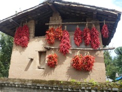 Françoise et Alain - Circuit au Yunnan - Septembre 2014 (12 jours)